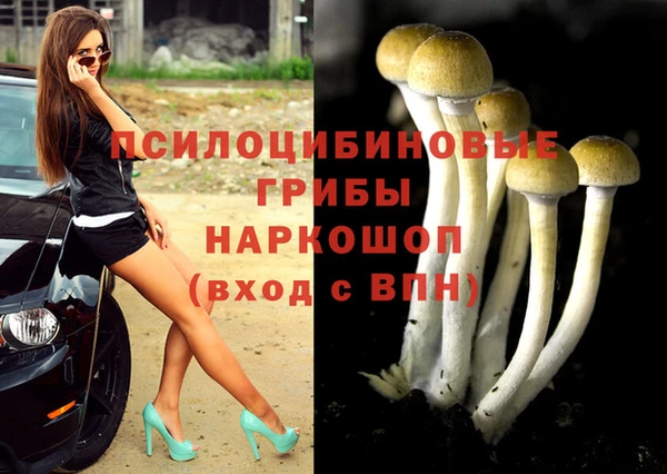 каннабис Абинск