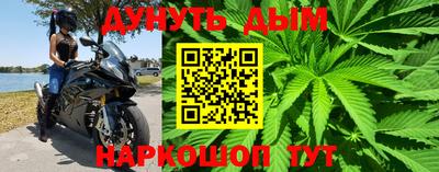 гидра Бердск