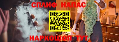гидра Бердск