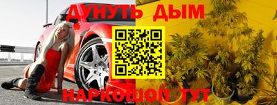 гидра Бердск