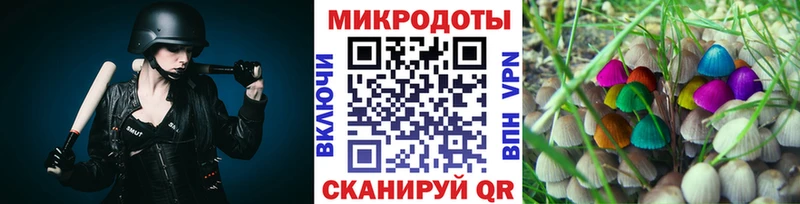 Галлюциногенные грибы Psilocybe  закладка  Карасук 