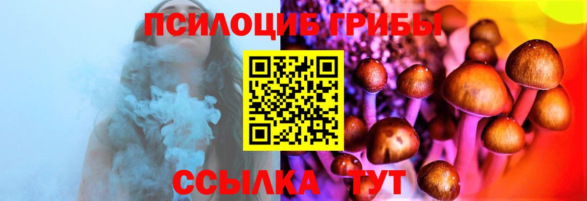 Галлюциногенные грибы мухоморы Карасук